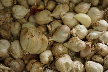 White garlic on a local market