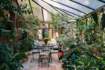 Interior of winter garden with yellow chrysanthemums on the table.