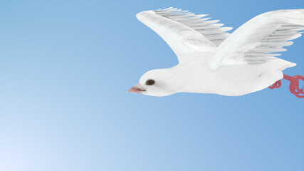 White Dove Flying in the sky. 3D Render Side view of Pigeon flying on blue background, Isolated with clipping path.