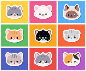 Set of stickers of cute cat faces on colorful background