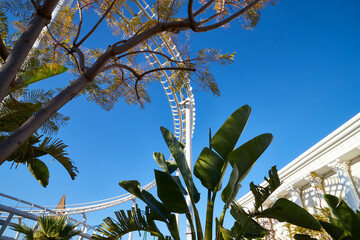 Roller coaster Ride against blue sky in a nice day.