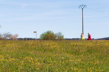 Couple walking in the meadow with flower in Fribourg, Switzerland
