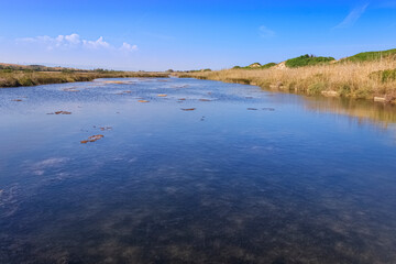 The Regional Natural Park Dune Costiere from Torre Canne to Torre San Leonardo, covers the...