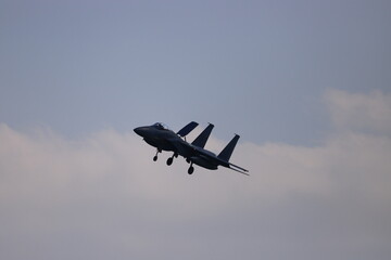 JASDF F-15