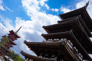 Yakushiji Temple in Nara