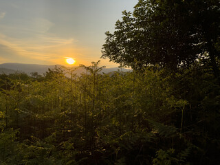 Trekking im Schwarzwald