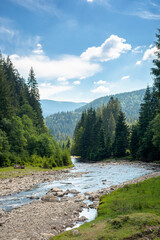 Fototapeta na wymiar nature scene with mountain river. spring vacation in sunny valley of synevyr national park, ukraine. grassy meadow on the shore, ridge in the distance. beauty of tranquil ecology environment