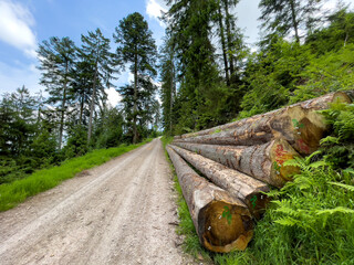Camping im Schwarzwald
