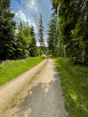 Camping im Schwarzwald