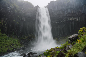 Fototapeta na wymiar Svartifoss waterfall on moody, foggy, misty weather. Popular tourist attraction scene. Location Skaftafell National Park, Vatnajokull glacier, Iceland, Europe. Beauty of earth.