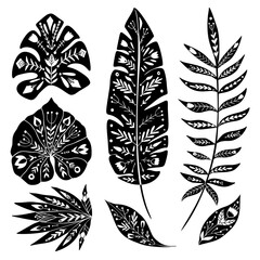 Set of black silhouette of tropical leaves with folk pattern. Vector natural design element. Banana, monstera, palm and liana. Monochrome foliage with decoration for article, invitation and card.