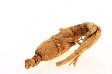 Ginseng on a white background