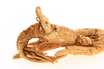 Ginseng on a white background