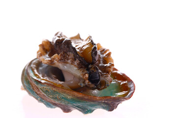 Abalone shellfish on a white background
