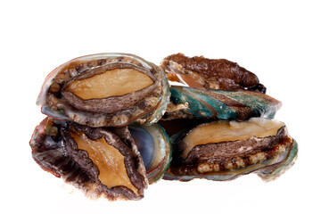 Abalone shellfish on a white background