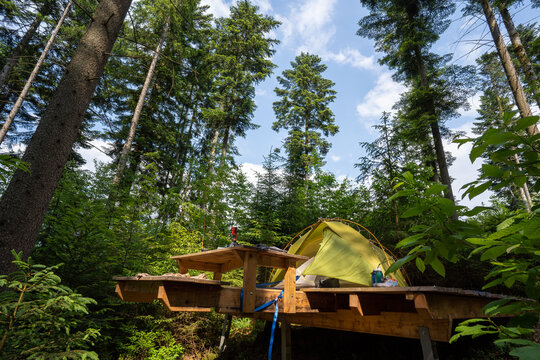 Camping im Schwarzwald
