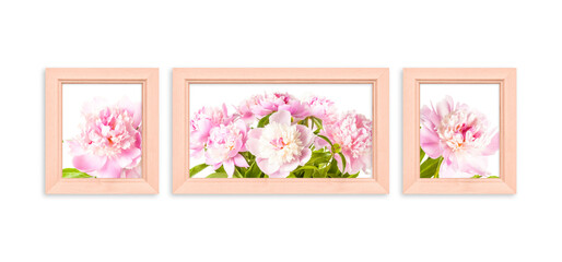 Three photo frames set with beautiful peony flowers canvas isolated on white wall, soft pink orange color design