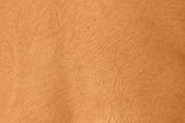 Human skin of European race with traces of grass