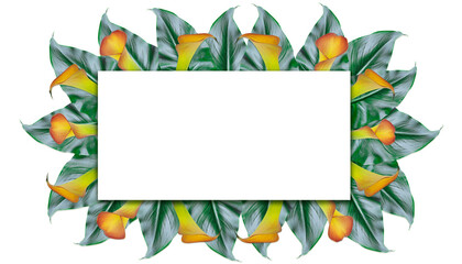 calla lily background with leaves and flowers and copy space