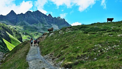 Fototapeta na wymiar Austrian Alps-view on the path with tourists in valley Ochsental