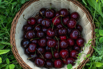 cherries in a basket