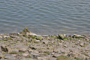 River Levens, Greenodd, Cumrbia, South Lakes, Lake district, England, UK