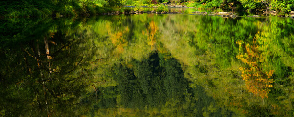 Reflection of the autumn forest in the calm mountain river.