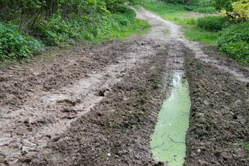 Pfütze auf einem Feldweg. Die Reifenspur ist mit Wasser vollgelaufen und grün mit Algen.