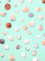 Sea shells pattern on blue background. Flat lay, top view.