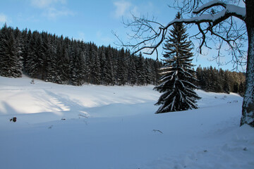 Winterlandschaft, ein Zauber in Schnee und Eis. Kleinschmalkalden, Thueringen, Deutschland,...