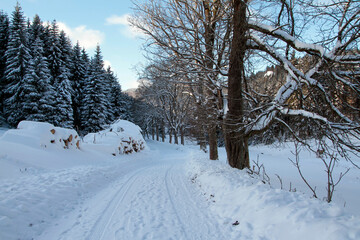 Fototapeta premium Winterlandschaft, ein Zauber in Schnee und Eis. Kleinschmalkalden, Thueringen, Deutschland, Europa-- Winter landscape, a magic in snow and ice. Kleinschmalkalden, Thuringia, Germany, Europe