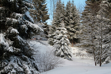 Winterlandschaft, ein Zauber in Schnee und Eis. Kleinschmalkalden, Thueringen, Deutschland,...
