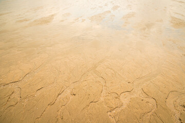 Water erodes the sand on the beach
