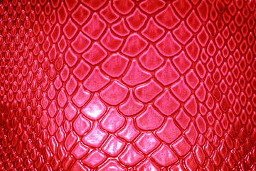 Close up of snake skin texture  use for background