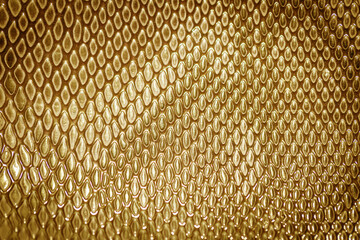 Close up of snake skin texture  use for background