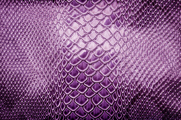 Close up of snake skin texture  use for background
