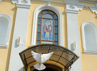Obraz na płótnie Canvas Dove takes off in the wedding ceremony in front of church