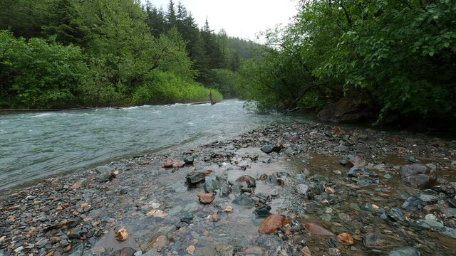 Flooded River flowing fresh water in forested wild Alaska.