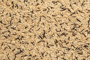 mix of brown and wild rice. food background, texture