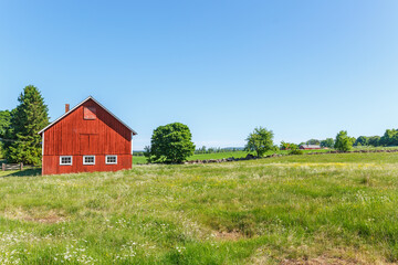 Barn at a flowering meadow in an idyllic summer landscape