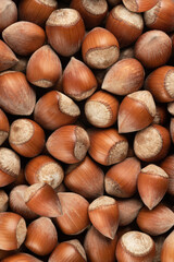 hazelnuts background. food background, texture