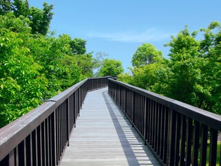 Fototapeta na wymiar 公園の橋を散歩