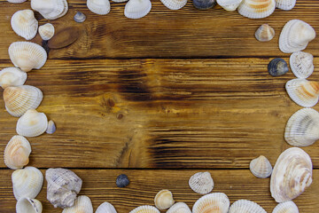 Sea shells on rustic wooden background. Top view, copy space