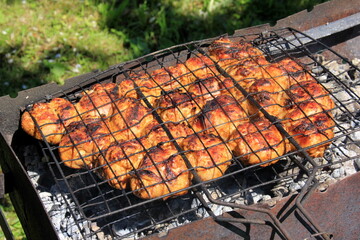 grilled meat skewers, barbecue. Fresh chicken meat holder over fire burned churcoal in outdoor party