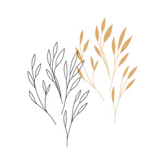 Floral icons, vector graphics. Hand drawn branches with leaves in minimal modern style.