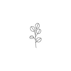 Floral black and white icons, vector graphics. Hand drawn branch with leaves in minimal modern style.