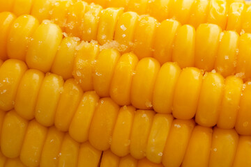 Yellow corn jam in a plate close-up. Hot Corn