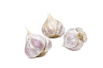Garlic isolated on white background..