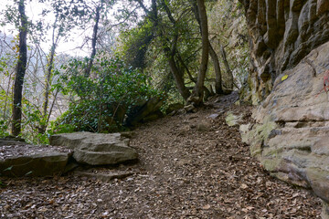 climb a mountain with dry leaves on the ground surrounded by stones