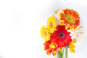 Flat lay with colorful red yellow orange autumn flowers on white background. Bright Fall, thanksgiving day concept. Top view, copy space